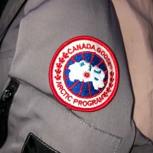 Gray Canada goose for sale